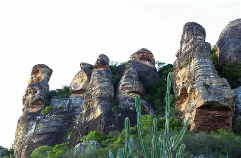 El Misterio de los Glifos de Serra da Capivara: Un Enigma Arqueológico en la Selva Amazónica